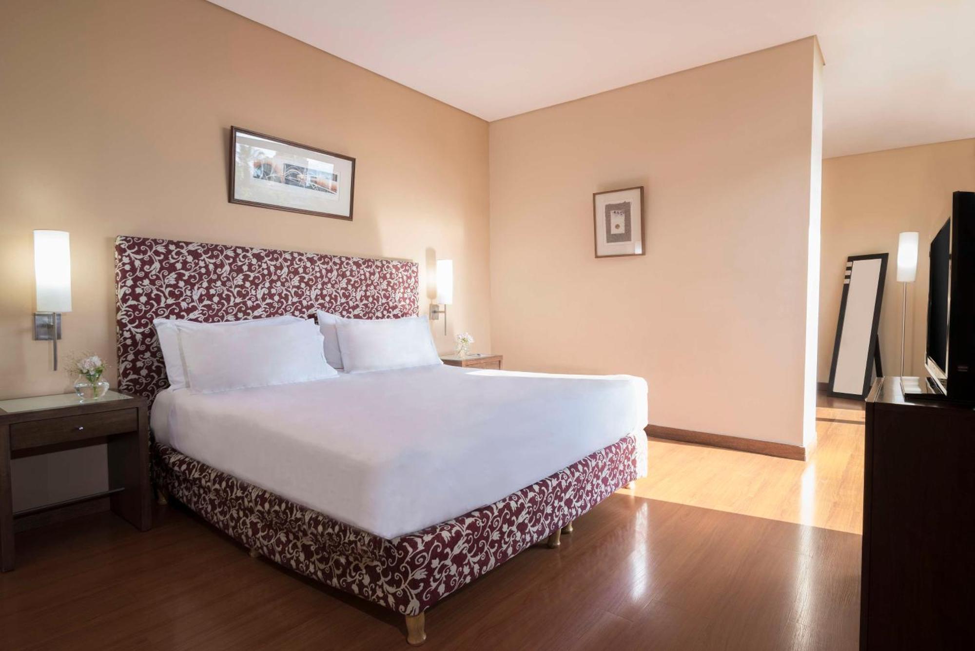 Nh Mendoza Cordillera Hotel Eksteriør billede