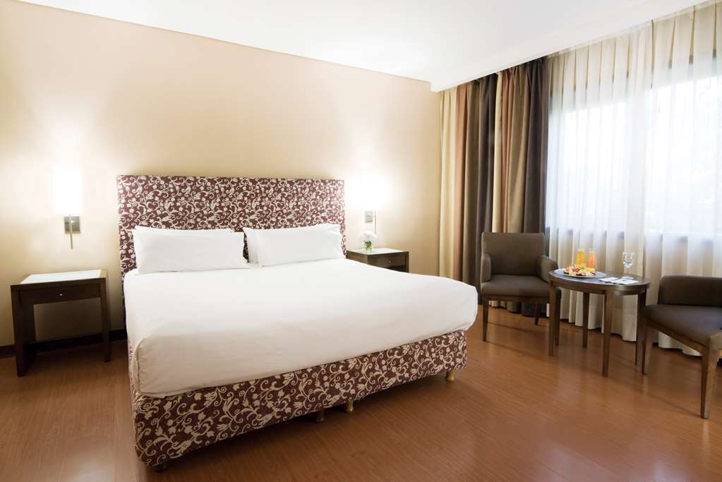 Nh Mendoza Cordillera Hotel Eksteriør billede
